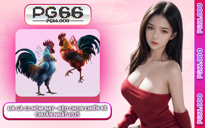 Đá Gà C2 Hôm Nay - Kèo Chọn Chiến Kê Chuẩn Nhất 2025