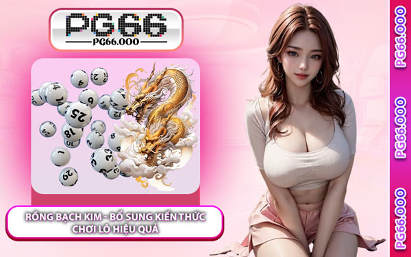 Rồng Bạch Kim - Bổ Sung Kiến Thức Chơi Lô Hiệu Quả