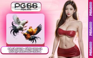 Đá Gà SV128 - Sảnh Chọi Gà Nổi Bật Hàng Đầu Châu Á